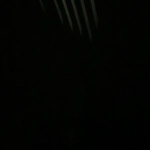 Meet your Posher, Tianna